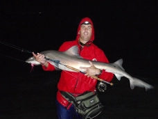Jacques very happy with yet another Black spot gully shark. Jacques very happy with yet another Black spot gully shark.