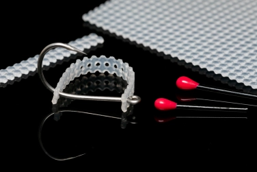 The skeleton The skeleton