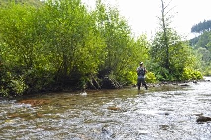 Getting closer to grasshopper valley Getting closer to grasshopper valley