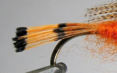 Tippet tail Tippet tail