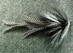 Feather extending Feather extending