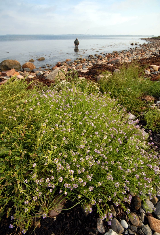 First autumn day - image First autumn day - image