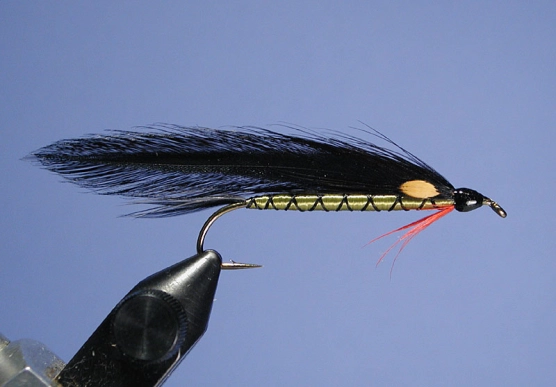 Scaled Shiner Streamer Scaled Shiner Streamer