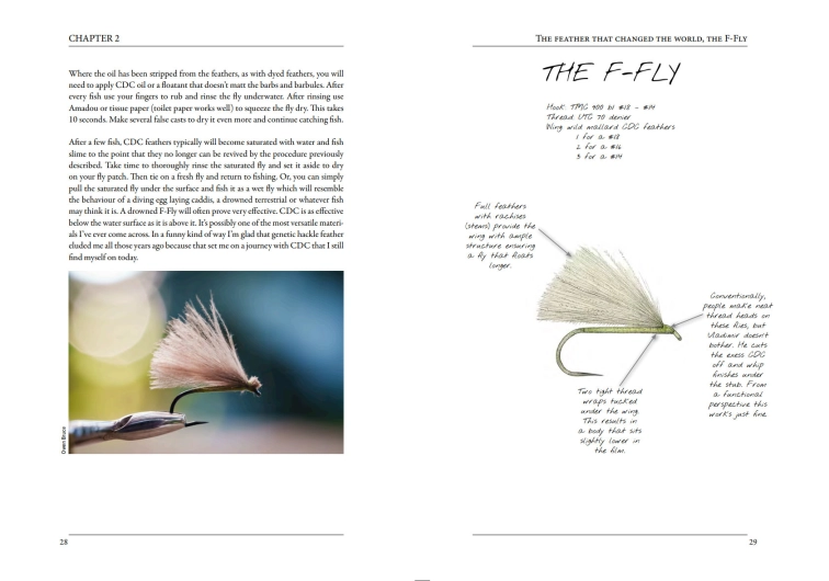 Feather Mechanics II pages Feather Mechanics II pages