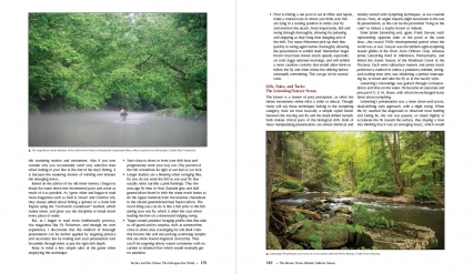 More Nexus page samples More Nexus page samples