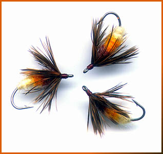 Three salt water Bees