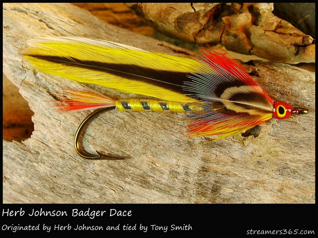 #15 Herb Johnson Badger Dace - Tony Smith #15 Herb Johnson Badger Dace - Tony Smith