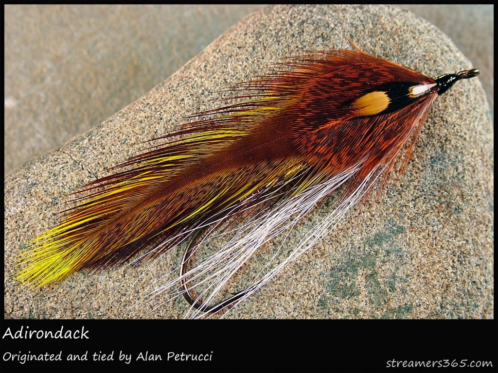 #253 Adirondack - Alan Petrucci #253 Adirondack - Alan Petrucci