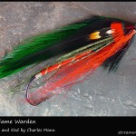 The Maine Game Warden Streamer - Charlie Mann The Maine Game Warden Streamer - Charlie Mann