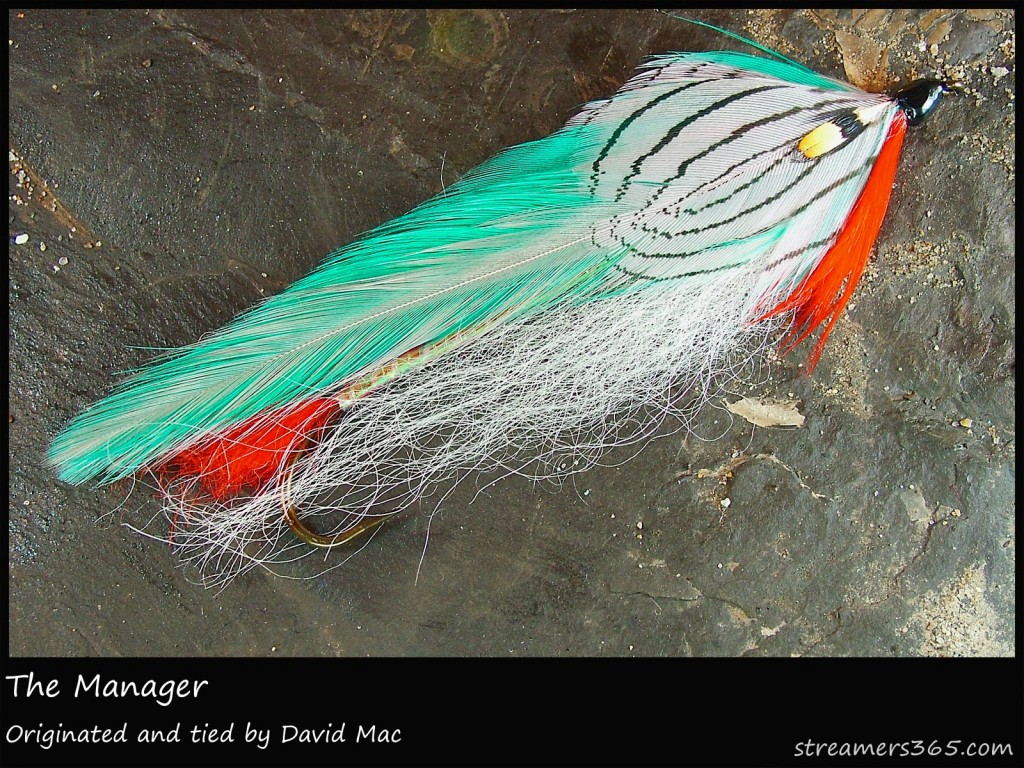 #7 The Manager - David Mac #7 The Manager - David Mac