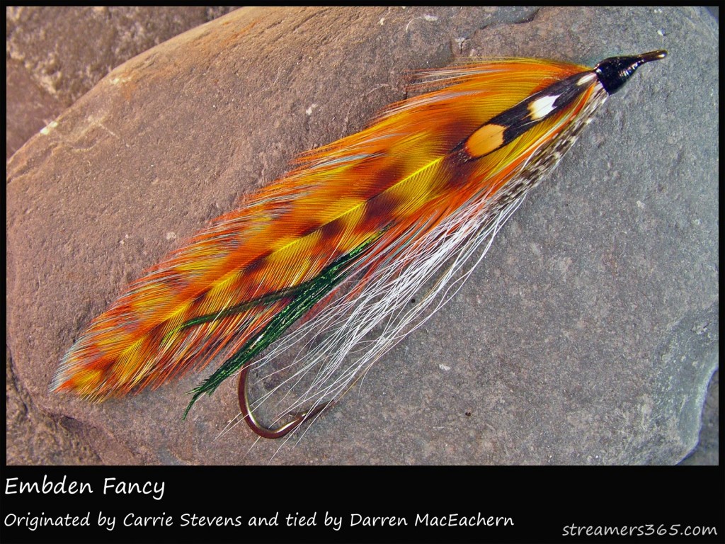 #75 Embden Fancy - Darren MacEachern