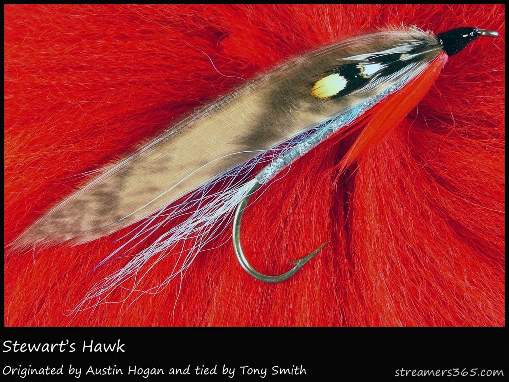 #94 Stewart's Hawk - Tony Smith #94 Stewart's Hawk - Tony Smith