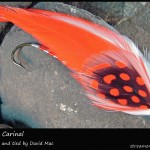 #132 Spotted Cardinal - David Mac #132 Spotted Cardinal - David Mac
