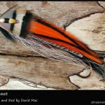 #210 Bittersweet - David Mac #210 Bittersweet - David Mac