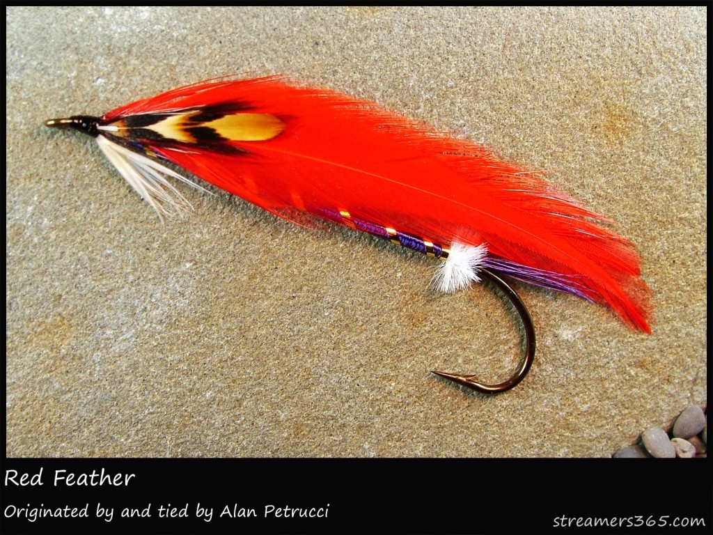 #294 Red Feather - Alan Petrucci #294 Red Feather - Alan Petrucci