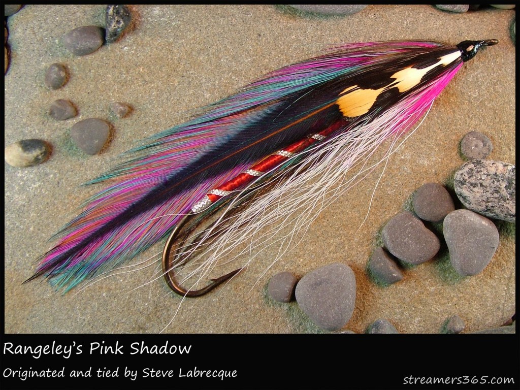 #308 Rangeley's Pink Shadow - Steve Labrecque #308 Rangeley's Pink Shadow - Steve Labrecque