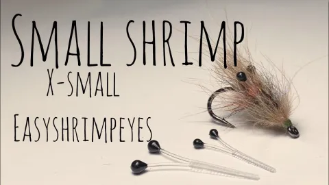 Video thumb for X-Small Shrimp