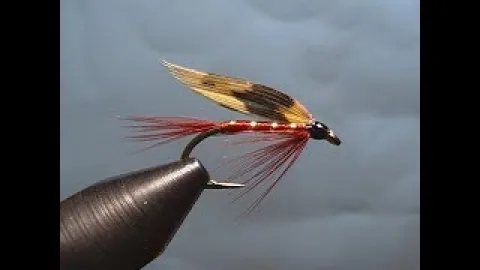 Video thumb for Dark Montreal