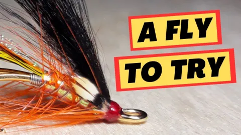Video thumb for Tying A Salmon Fly With A Unique Body...