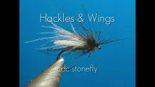 Video thumb for CdC Stonefly