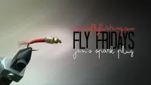 Video thumb for Jan's Spark Plug
