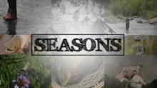 Video thumb for Seasons