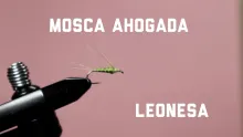 Video thumb for Mosca Ahogada
