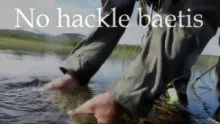 Video thumb for No hackle baetis