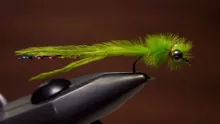 Video thumb for Damselfly Nymph