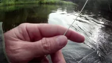 Video thumb for June Fly Fishing re-cap