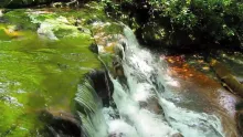 Video thumb for Fly Fishing for Brook Trout