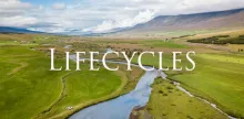 Video thumb for Lifecycles - Official Trailer