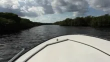 Video thumb for Belize Flyfishing