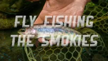 Video thumb for Fly Fishing the Smoky Mountains