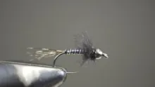 Video thumb for Synthetic Quill Nymph