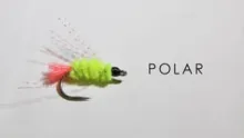 Video thumb for Polar