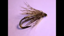 Video thumb for Pearl and Partridge Soft Hackle