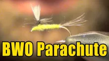 Video thumb for BWO Parachute