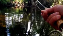 Video thumb for Trout Love part six