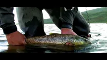 Video thumb for Fishing Porsanger