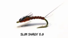 Video thumb for The Slim Shady 5.0