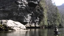 Video thumb for Chasing Wild Brown Trout in the Blue Ridge Mountains