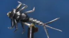 Video thumb for Hemingway's Black Rubber Nymph