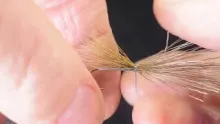 Video thumb for Bundling Hair Wings