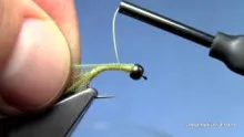 Video thumb for Real Skin Hydro Caddis Larva