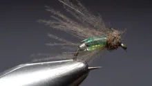 Video thumb for Shiney Hiney Caddis Pupa
