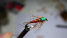 Video thumb for Small Elastic Mayfly Nymph