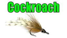 Video thumb for Tarpon Cockroach
