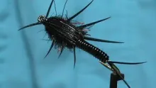 Video thumb for Deep Black Stonefly
