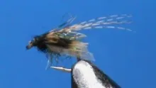 Video thumb for Emerging Caddis